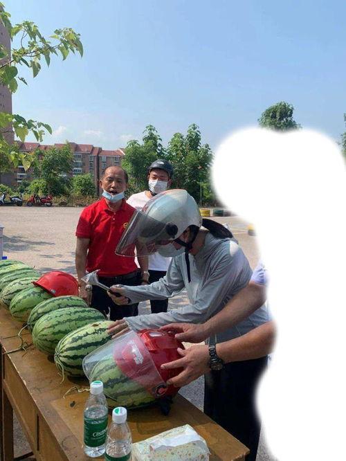 吃瓜事件最新,揭秘网络舆论背后的真相与争议