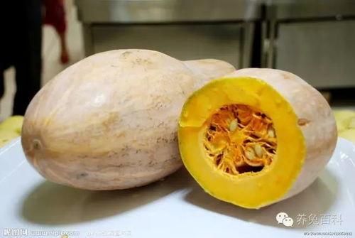 小冬瓜直播间娱乐圈吃瓜,小冬瓜直播间揭秘幕后真相