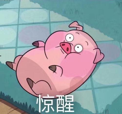 肥猪猪娱乐吃瓜酱