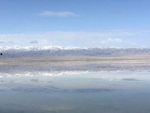 娱乐吃瓜洲,揭秘娱乐圈背后的那些事儿