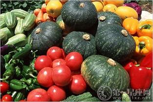 娱乐瓜吃瓜最新,揭秘明星背后的秘密与真相